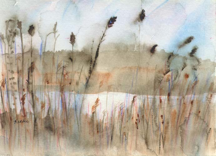 Rain